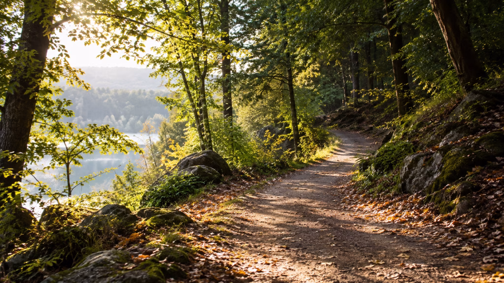 Ein gewundener Weg mit Licht und Schatten als Sinnbild für individuelle Trauer